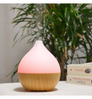 Zenaterra-Ultrasonique