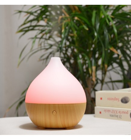 Zenaterra-Ultrasonique