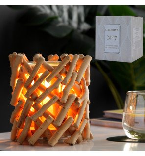  diffuseur calorya n°7 en fonctionnement sur une étagère entouré de plantes vertes