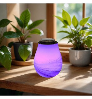  brûleur calorya n°11 décoratif sur une étagère avec plantes vertes