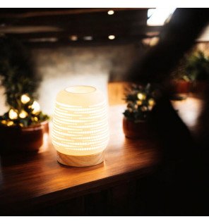  décoration intérieure moderne intégrant le brûleur comme objet design