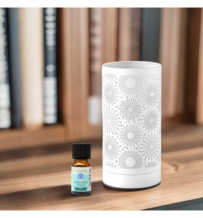 Calorya n°15 - Brûleur électrique avec commande tactile