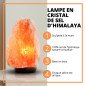 Lampe de sel d'Himalaya 2 à 3 kg Lampe de sel d'Himalaya 2 à 3 kg