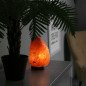 Lampe de sel d'Himalaya 2 à 3 kg Lampe de sel d'Himalaya 2 à 3 kg