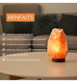  vue rapprochée de la base en bois naturel de la lampe en sel