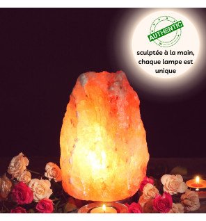  ambiance relaxante avec la lampe en sel posée près de plantes vertes