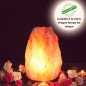 Lampe de sel d'Himalaya 2 à 3 kg Lampe de sel d'Himalaya 2 à 3 kg