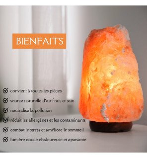  ambiance chaleureuse créée par la lampe de sel dans un coin lecture