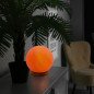 Lampe de sel d'Himalaya Moon 1,9 kg