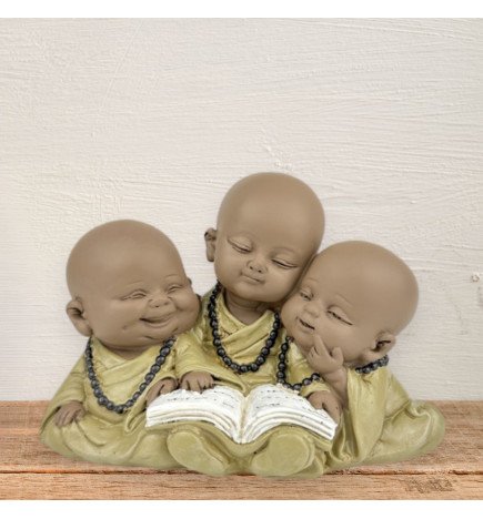 Zenaterra-Décoration