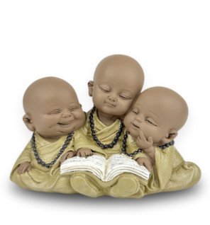  détail sur les mains des bonzes tenant un livre ouvert