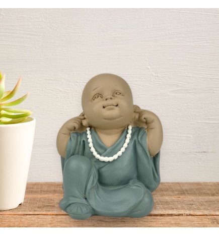 Zenaterra-Nouveautés