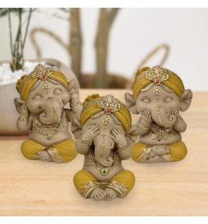 Zenaterra-Nouveautés