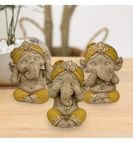 Zenaterra-Nouveautés