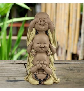 Zenaterra-Nouveautés