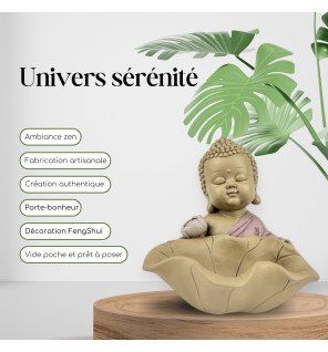  idéale pour la décoration intérieure