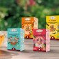 Assortiment de 4 Tisanes Bio Routine Quotidienne Assortiment de 4 Tisanes Bio Routine Quotidienne