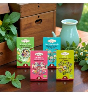  composition florale accompagnant une tasse de tisane bio