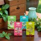 4 Tisanes Bio pour l’Instant Présent 4 Tisanes Bio pour l’Instant Présent