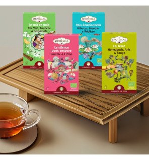  coffret de tisanes posé près d’une fenêtre avec lumière naturelle pour une ambiance apaisante