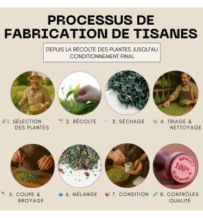  tasse fumante d'infusion équilibre à côté d’un livre ouvert pour une ambiance relaxante