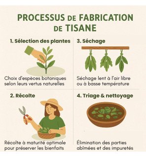  sélection de tisanes pour favoriser le sommeil posée sur une table de chevet