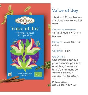 Tisane Bio Voice of Joy – Infusion Réglisse, Fenouil & Épices