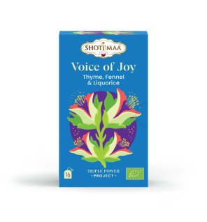  détail du mélange d’épices et de plantes séchées pour infusion bio artisanale