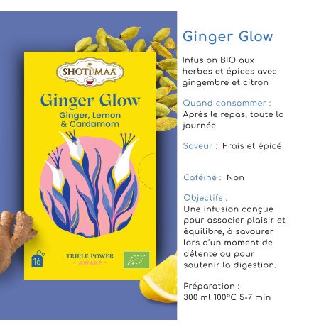 Tisane Ginger Glow Bio – Infusion Gingembre & Citron