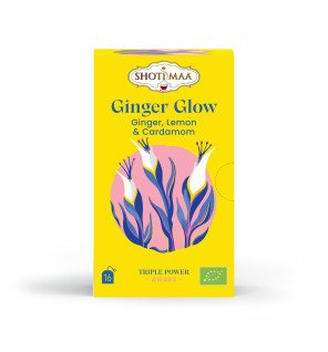  composition naturelle d’ingrédients biologiques autour d’un sachet d’infusion ginger glow