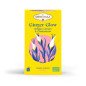 Tisane Ginger Glow Bio – Infusion Gingembre & Citron
