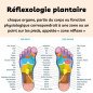 Chaussettes réflexologie adoucissantes