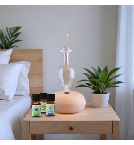 Zenaterra-Nébulisation