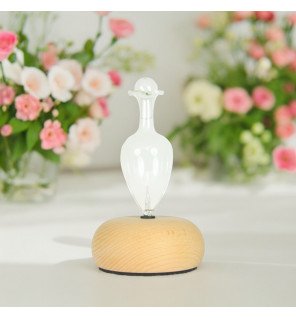 Zenaterra-Diffuseur par nébulisation Bao + 3 huiles spéciales télétravail-Zen'Arôme-Coffrets Aromathérapie