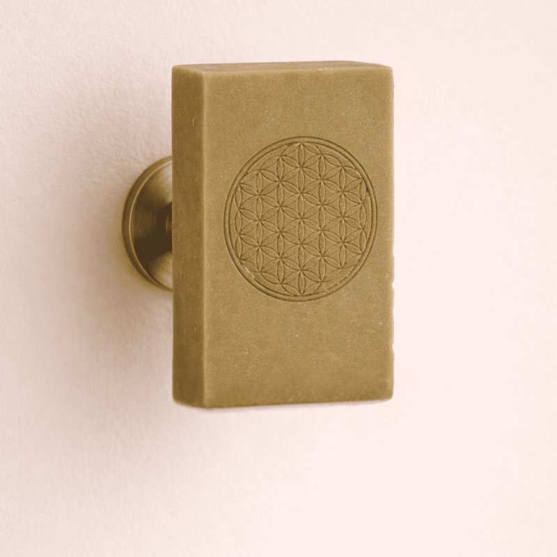 Shampoing bio solide + porte-savon magnétique