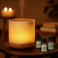 Diffuseur ultrasonique Alesia + 3 huiles essentielles Hiver Diffuseur ultrasonique Alesia + 3 huiles essentielles Hiver