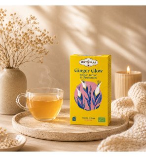 Tisane Ginger Glow Bio – Infusion Gingembre & Citron