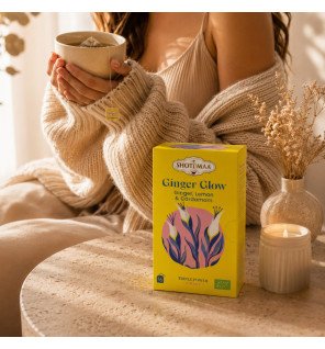 Zenaterra-Tisane Ginger Glow Bio – Infusion Gingembre & Citron-Sun&Sia-Gamme Triple Power