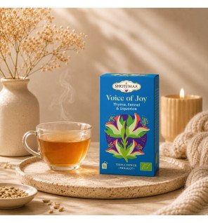 Tisane Bio Voice of Joy – Infusion Réglisse, Fenouil & Épices
