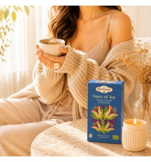 Zenaterra-Tisane Bio Voice of Joy – Infusion Réglisse, Fenouil & Épices-Sun&Sia-Gamme Triple Power