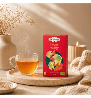 Tisane Bio Focus – Infusion Basilic, Gingembre & Orange
