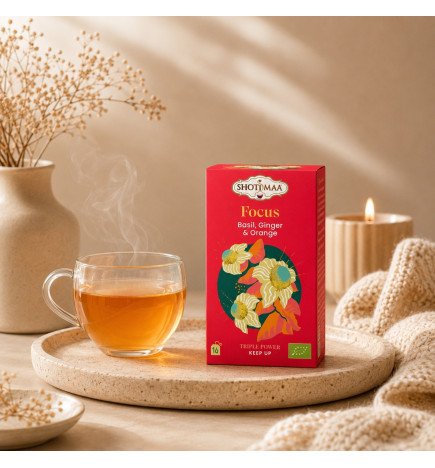Tisane Bio Focus – Infusion Basilic, Gingembre & Orange