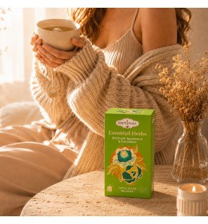 Zenaterra-Tisane Bio Équilibre Basique – Bouleau, Menthe & Pissenlit-Sun&Sia-Gamme Triple Power