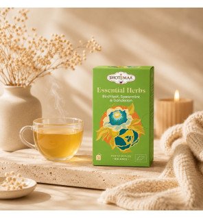 Tisane Bio Équilibre Basique – Bouleau, Menthe & Pissenlit