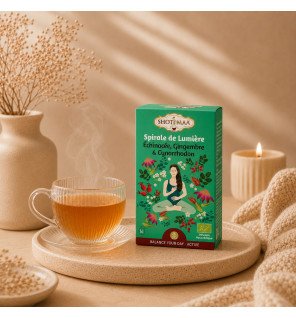 Tisane Bio Spirale de Lumière – Revitalisante & Harmonieuse