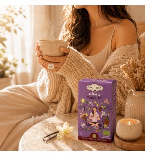 Zenaterra-Tisane Bio Détente – Chai Vanille Idéale Soir-Sun&Sia-Gamme Harmonie