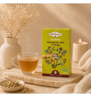 Infusion Tisane Bio La Terre - Équilibre et Vitalité