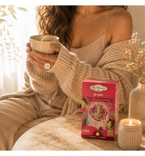 Zenaterra-Tisane Bio Je Suis - Énergétiques, Équilibre et Bien-Être - Matinale-Sun&Sia-Gamme Chakra