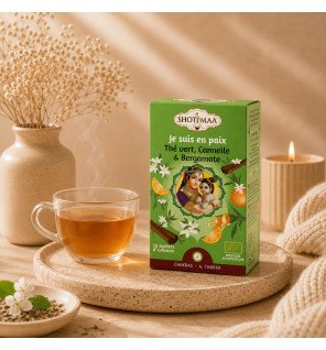 Tisane Infusion Bio Matinale - Je Suis En Paix
