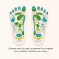 Chaussettes réflexologie adoucissantes Chaussettes réflexologie adoucissantes